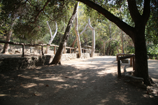 Enlarge photo 35
