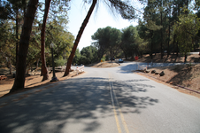 Enlarge photo 52