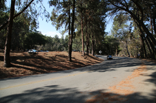 Enlarge photo 54