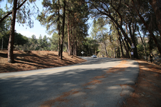 Enlarge photo 57