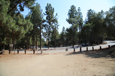 Enlarge photo 73