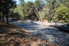 Enlarge photo 91