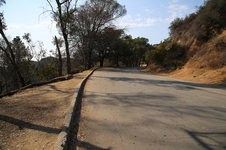 Enlarge photo 96
