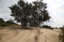 Griffith Park Helipad Trails