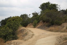 Enlarge photo 3