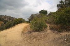Enlarge photo 6