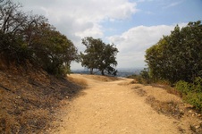 Enlarge photo 14