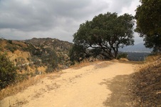Enlarge photo 17