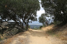 Enlarge photo 18