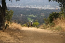 Enlarge photo 19