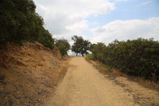 Enlarge photo 20