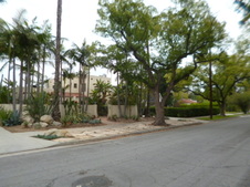 Enlarge photo 26