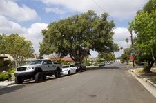Beverly Way