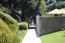 Enlarge photo 18