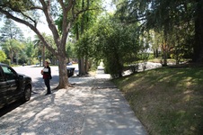Enlarge photo 19
