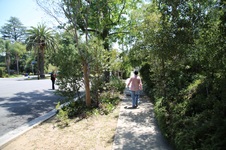 Enlarge photo 23