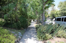 Enlarge photo 24