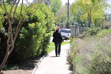 Enlarge photo 26