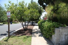 Enlarge photo 32