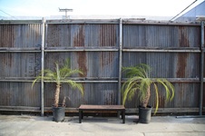 Enlarge photo 11