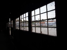 Enlarge photo 63