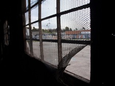 Enlarge photo 65