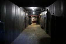 Enlarge photo 45