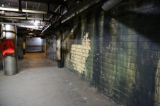 Enlarge photo 62
