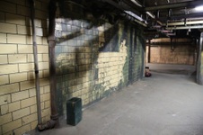 Enlarge photo 63