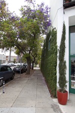 Enlarge photo 24