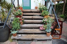 Enlarge photo 19