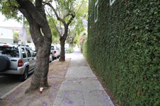 Enlarge photo 32