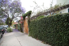 Enlarge photo 33