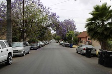 Enlarge photo 42