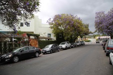 Enlarge photo 44