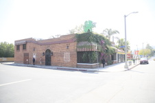THE GRIFFIN