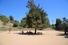 Enlarge photo 14