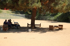 Enlarge photo 23