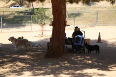 Enlarge photo 25