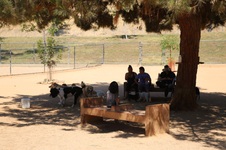 Enlarge photo 26