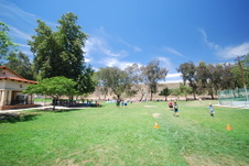Enlarge photo 39
