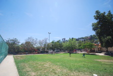 Enlarge photo 45