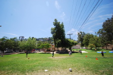 Enlarge photo 46