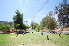 Enlarge photo 47