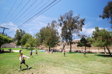 Enlarge photo 48