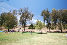 Enlarge photo 49