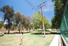 Enlarge photo 50