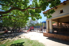 Enlarge photo 51