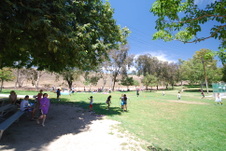 Enlarge photo 56