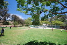Enlarge photo 57